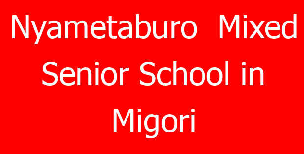 Nyametaburo  Mixed Senior School in Migori