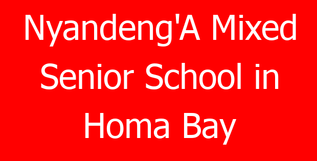 Nyandeng’A Mixed Senior School in Homa Bay
