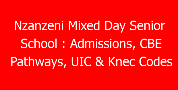 Nzanzeni Mixed Day Senior School : Admissions, CBE Pathways, UIC & Knec Codes