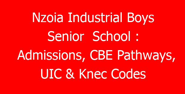 Nzoia Industrial Boys Senior School : Admissions, CBE Pathways, UIC & Knec Codes