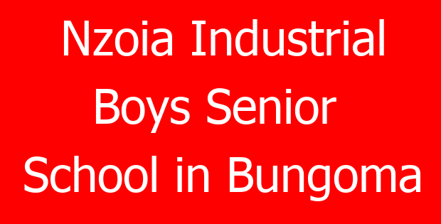Nzoia Industrial Boys Senior School in Bungoma