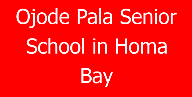 Ojode Pala Senior School in Homa Bay