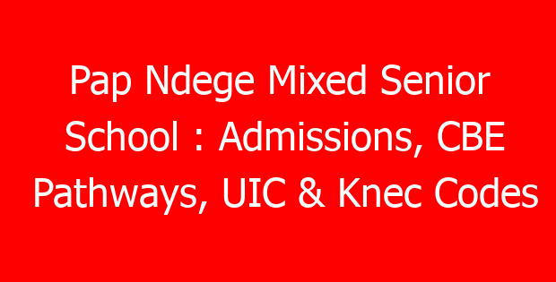 Pap Ndege Mixed Senior School : Admissions, CBE Pathways, UIC & Knec Codes