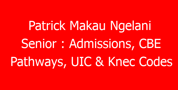 Patrick Makau Ngelani Senior : Admissions, CBE Pathways, UIC & Knec Codes