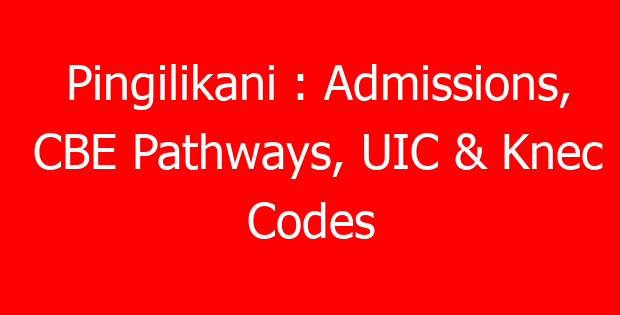 Pingilikani : Admissions, CBE Pathways, UIC & Knec Codes