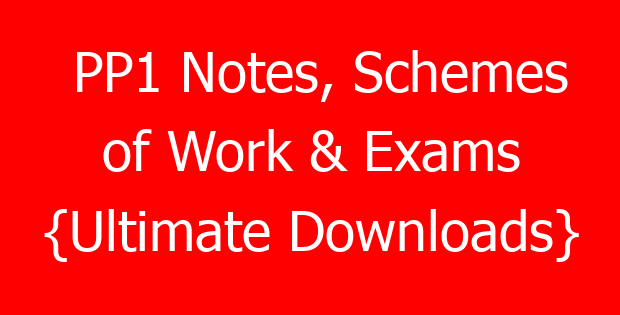 PP1 Notes, Schemes of Work & Exams {Ultimate Downloads}