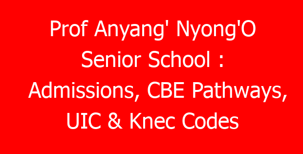 Prof Anyang’ Nyong’O Senior School : Admissions, CBE Pathways, UIC & Knec Codes