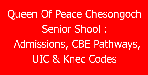 Queen Of Peace Chesongoch Senior Shool : Admissions, CBE Pathways, UIC & Knec Codes