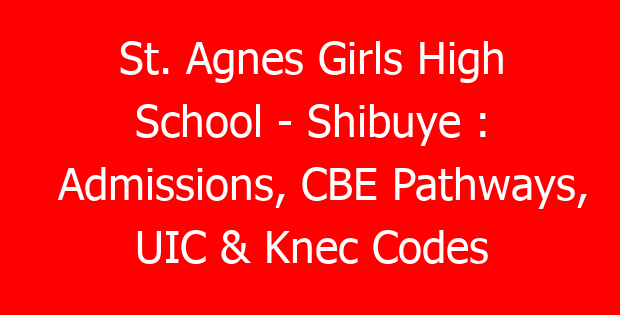 St. Agnes Girls High School – Shibuye : Admissions, CBE Pathways, UIC & Knec Codes