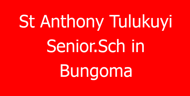 St Anthony Tulukuyi Senior.Sch in Bungoma