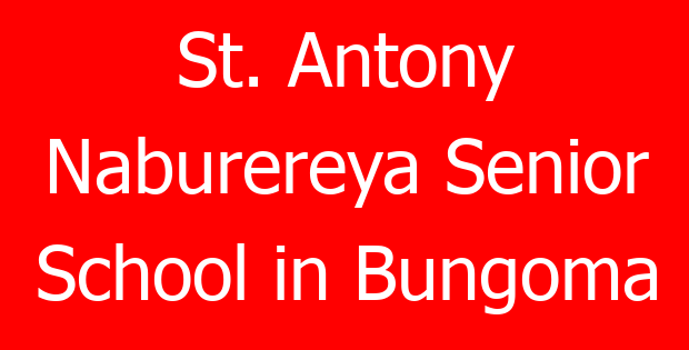 St. Antony Naburereya Senior School in Bungoma