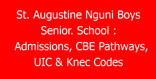St. Augustine Nguni Boys Senior. School : Admissions, CBE Pathways, UIC & Knec Codes