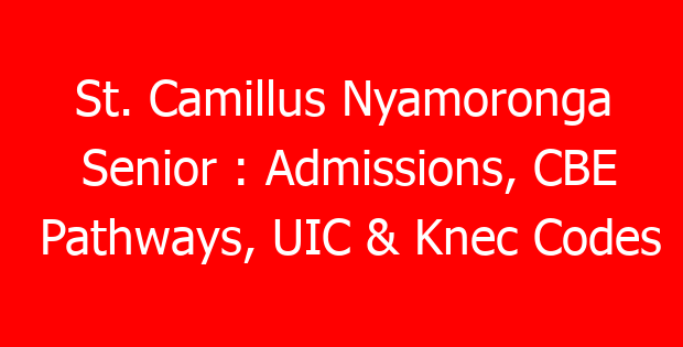 St. Camillus Nyamoronga Senior : Admissions, CBE Pathways, UIC & Knec Codes