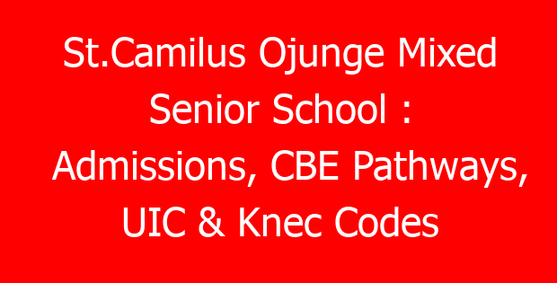 St.Camilus Ojunge Mixed Senior School : Admissions, CBE Pathways, UIC & Knec Codes