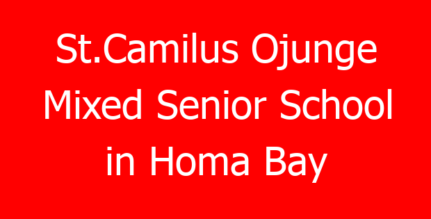 St.Camilus Ojunge Mixed Senior School in Homa Bay