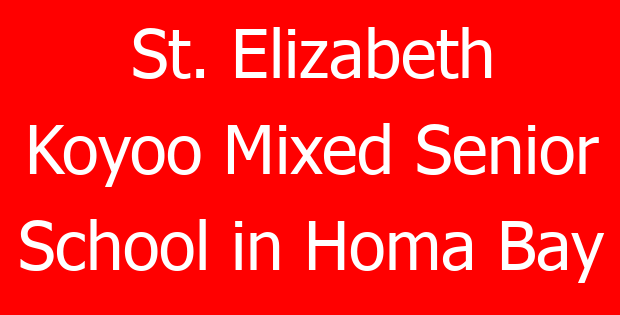 St. Elizabeth Koyoo Mixed Senior School in Homa Bay