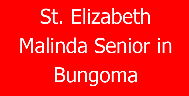 St. Elizabeth Malinda Senior in Bungoma