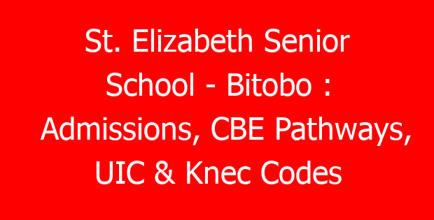 St. Elizabeth Senior School – Bitobo : Admissions, CBE Pathways, UIC & Knec Codes