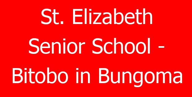 St. Elizabeth Senior School – Bitobo in Bungoma