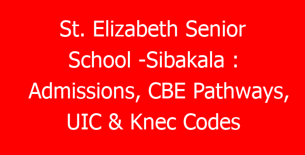 St. Elizabeth Senior School -Sibakala : Admissions, CBE Pathways, UIC & Knec Codes