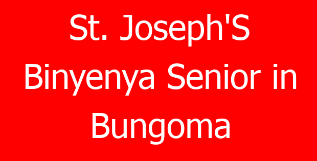 St. Joseph’S Binyenya Senior in Bungoma
