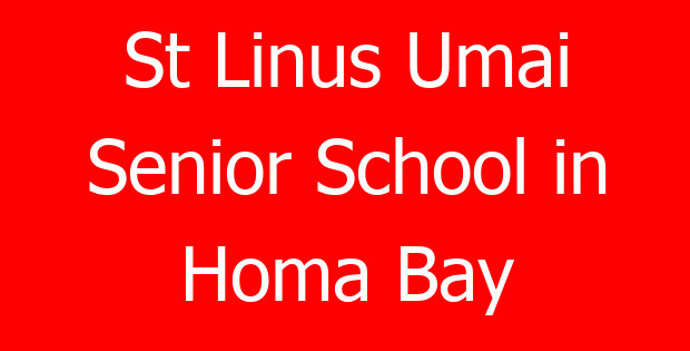 St Linus Umai Senior School in Homa Bay
