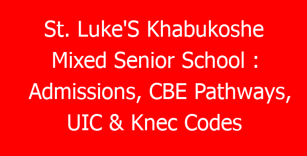 St. Luke’S Khabukoshe Mixed Senior School : Admissions, CBE Pathways, UIC & Knec Codes