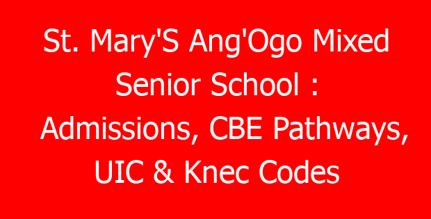 St. Mary’S Ang’Ogo Mixed Senior School : Admissions, CBE Pathways, UIC & Knec Codes
