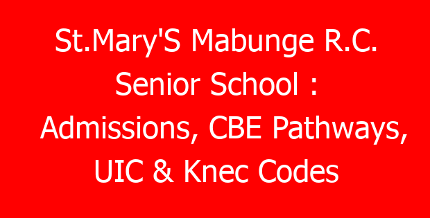 St.Mary’S Mabunge R.C. Senior School : Admissions, CBE Pathways, UIC & Knec Codes