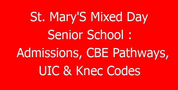 St. Mary’S Mixed Day Senior School : Admissions, CBE Pathways, UIC & Knec Codes