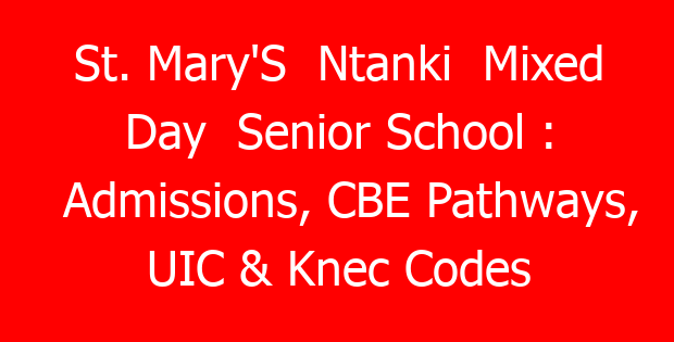 St. Mary’S Ntanki Mixed Day Senior School : Admissions, CBE Pathways, UIC & Knec Codes