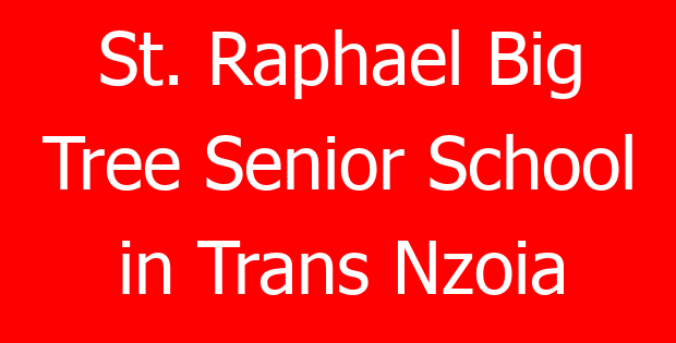 St. Raphael Big Tree Senior School in Trans Nzoia