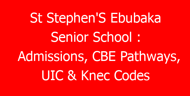 St Stephen’S Ebubaka Senior School : Admissions, CBE Pathways, UIC & Knec Codes