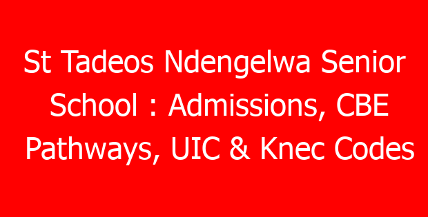 St Tadeos Ndengelwa Senior School : Admissions, CBE Pathways, UIC & Knec Codes