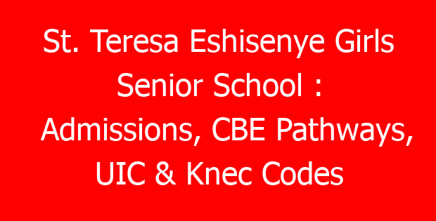 St. Teresa Eshisenye Girls Senior School : Admissions, CBE Pathways, UIC & Knec Codes