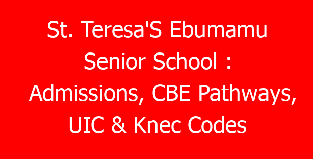 St. Teresa’S Ebumamu Senior School : Admissions, CBE Pathways, UIC & Knec Codes