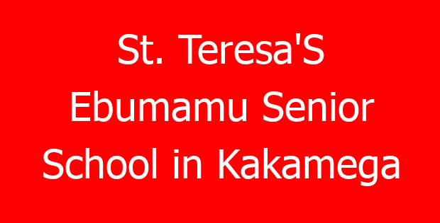 St. Teresa’S Ebumamu Senior School in Kakamega