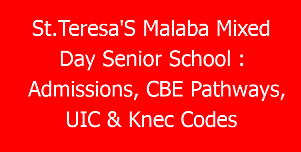 St.Teresa’S Malaba Mixed Day Senior School : Admissions, CBE Pathways, UIC & Knec Codes