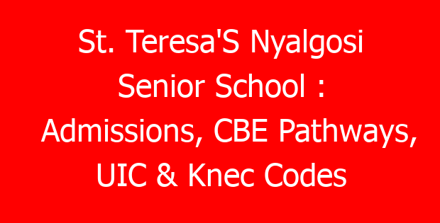 St. Teresa’S Nyalgosi Senior School : Admissions, CBE Pathways, UIC & Knec Codes