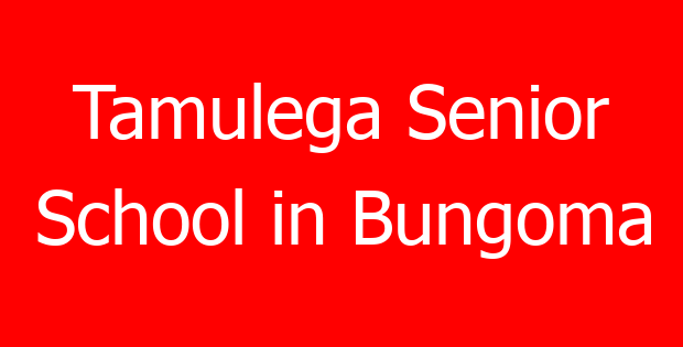 Tamulega Senior School in Bungoma
