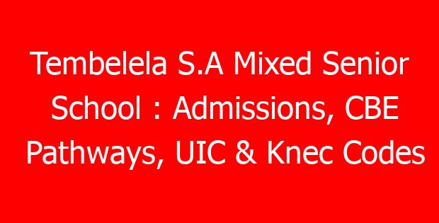 Tembelela S.A Mixed Senior School : Admissions, CBE Pathways, UIC & Knec Codes