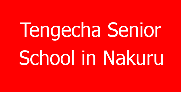 Tengecha Senior School in Nakuru