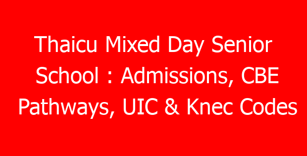 Thaicu Mixed Day Senior School : Admissions, CBE Pathways, UIC & Knec Codes
