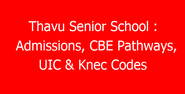 Thavu Senior School : Admissions, CBE Pathways, UIC & Knec Codes