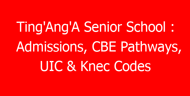 Ting’Ang’A Senior School : Admissions, CBE Pathways, UIC & Knec Codes