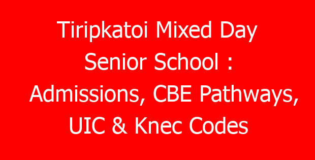 Tiripkatoi Mixed Day Senior School : Admissions, CBE Pathways, UIC & Knec Codes