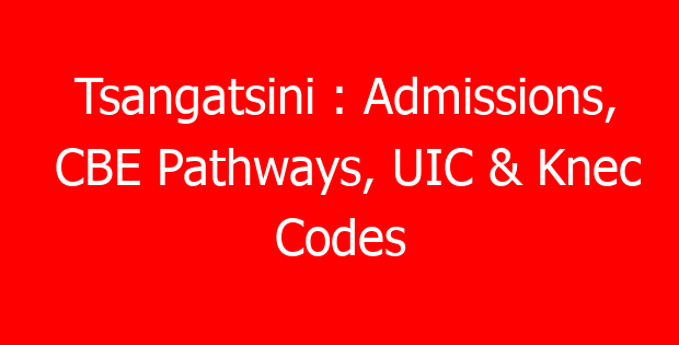 Tsangatsini : Admissions, CBE Pathways, UIC & Knec Codes