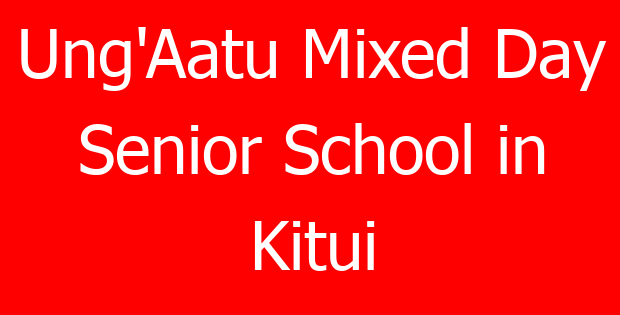 Ung’Aatu Mixed Day Senior School in Kitui