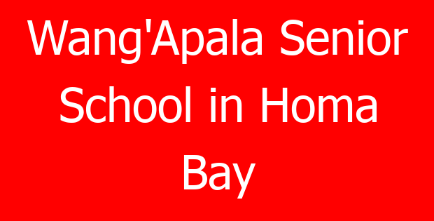 Wang’Apala Senior School in Homa Bay