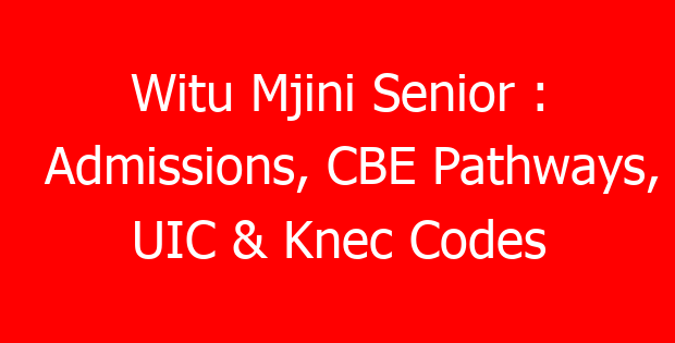 Witu Mjini Senior : Admissions, CBE Pathways, UIC & Knec Codes